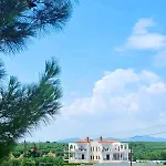 Pelagia