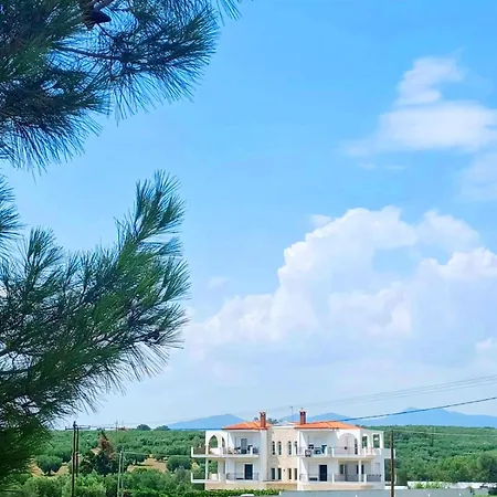 Pelagia